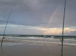 Où Pêcher en Tunisie