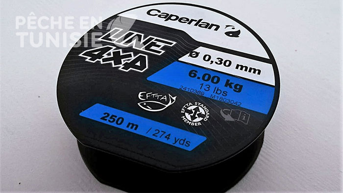 Fil 4x4 caperlan 0,30mm