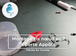 Comment créer un Montage Fix nœud en « T » + porte Appâts